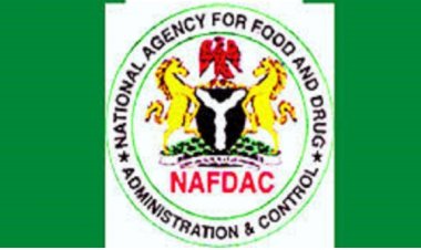 NAFDAC: Set to Cease Alcohol Abuse, Bans Sachet Alcohol Drinks, Others