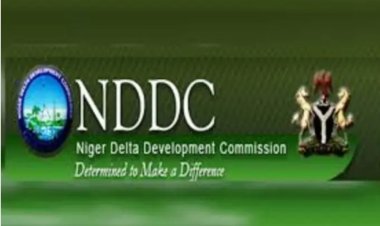 Why Contractors shut down NDDC
