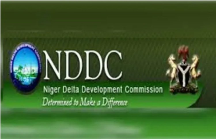 Why Contractors shut down NDDC