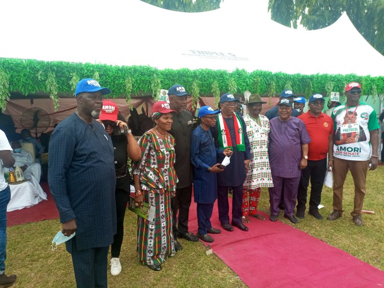Amori Officially Declares For Delta Central Senatorial Seat 2023