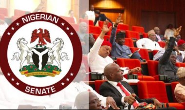 2023: Okowa, Tambuwal, Umahi Among 8 Governors Politicing To Retire To Senate