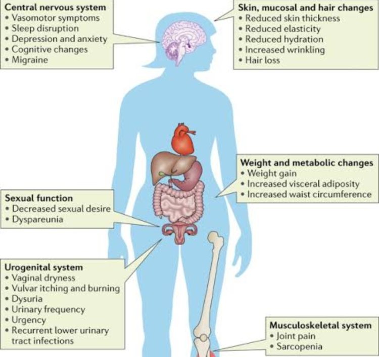 Menopause Could Force Women to act Abnormally, This  Will Help