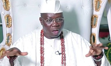 Regionalism or Nigeria may end in the next two years, says Gani Adams
