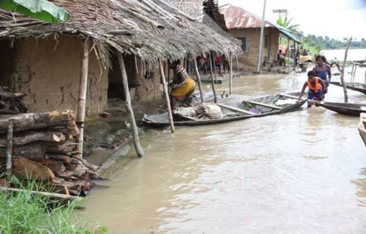 Next President of Nigeria Should Come From South, PANDEF Called on Buhari to visit Bayelsa, Delta and Rivers states