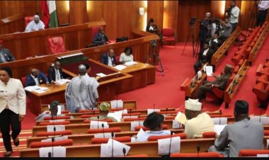 Senate Considers Bill to Regulate Private Sector Employment of Domestic Workers, Apprentices in Nigeria