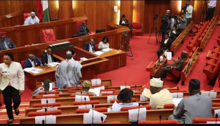 Senate Considers Bill to Regulate Private Sector Employment of Domestic Workers, Apprentices in Nigeria