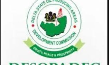 Group Alleged Looting of DESOPADEC, Calls For Immediate Desolution of Expired Board