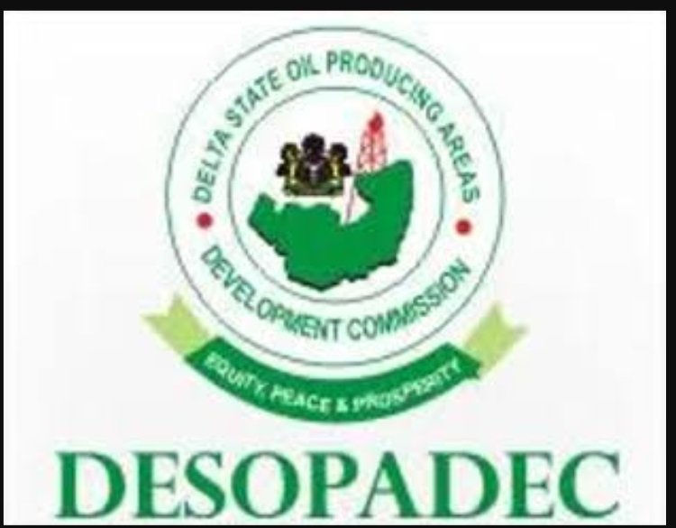 Group Alleged Looting of DESOPADEC, Calls For Immediate Desolution of Expired Board