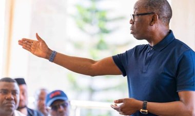 WHO OWNS PREMIUM TRUST BANK? Okowa, RCCG Senior Pastor, Emefiele exposed