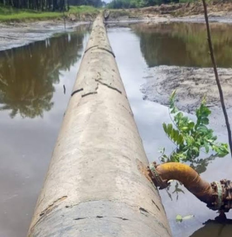 Why Niger-Deltans Should Appreciate Tantita Security for Protecting the Environment from  Degradation