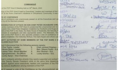 PDP Condemns Attack on UDU Ward-9 Leaders in Delta, Suspends Anti-Party Members