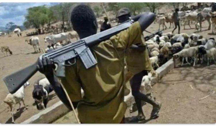 18 Persons, Women, Children Killed as Armed Herdsmen Attack Benue Community