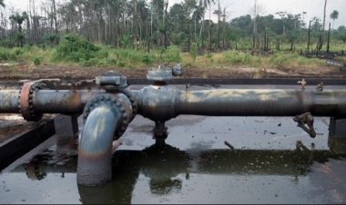 NNPCL Awaits Approval to Renew Tompolo's Pipeline Contract