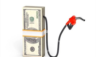 Fuel scarcity looms as marketers suspend imports, propose N720 per litre