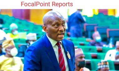 Appeal court sacks Ndudi Elumelu, affirms LP candidate winner of reps seat in Delta