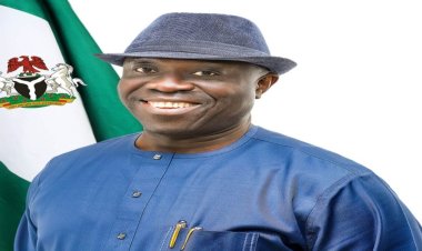 PAP: Group Berates N-Deltans Over Incessant Attacks on Ndiomu, Warns Against Pulldown  Syndrome 