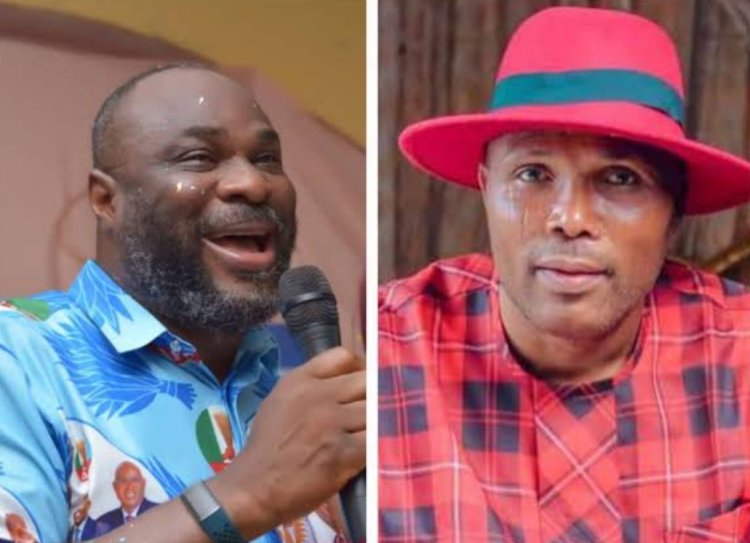 Tribunal Sacks Delta South Senator, Re-run within 90 days