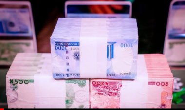 Naira redesign: CBN collected N3.2tn, but printed only N402bn – Falana