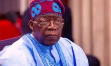 FG approves Federal University of Medical and Health Sciences in Delta, Six Others