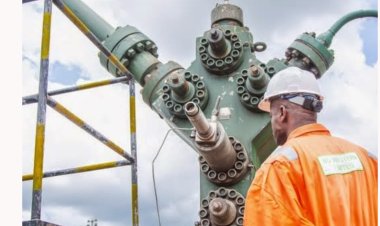 NPDC's non-compliance with PIA hampering development in Delta host communities