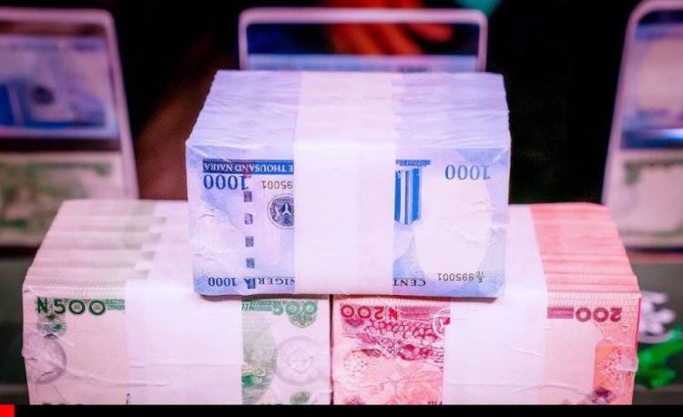 Naira redesign: CBN collected N3.2tn, but printed only N402bn – Falana