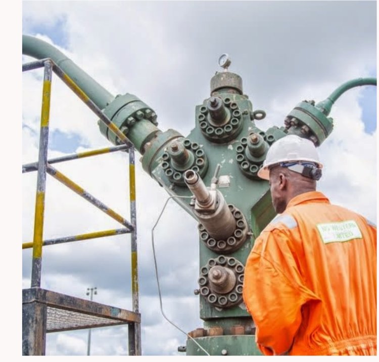 NPDC's non-compliance with PIA hampering development in Delta host communities