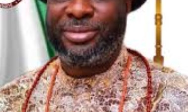 Appeal Court Affirms Senator Joel-Onowakpo’s Delta South Senatorial Election