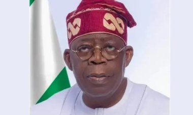 Saudi visa cancellation: FG calls for calm, launches investigation