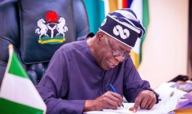 Why I deserve to be listed in Guinness World Records – Tinubu