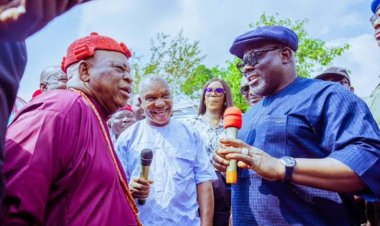 Delta to disburse N2bn agricultural intervention fund to farmers