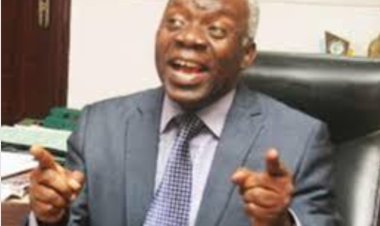 Falana Demands Compensation for Seven killed in Customs Office Stampede