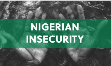 Rising insecurity in Nigeria: Babcock varsity lecturer shot dead at relaxation center