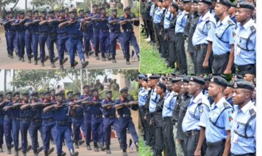 IGP Urges F.G to Merge NSCDC, FRSC With Police, Says Nigeria not Ripe Enough for State Police