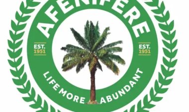 Afenifere Disagree on Yoruba exit From Nigeria, Specifies what to Clamour for  