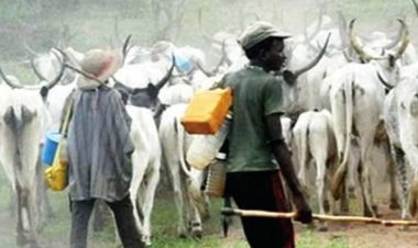 Suspected Herdsmen Machete Ex-PDP Ward Chairman to Death, Abduct 2 Others In Delta 
