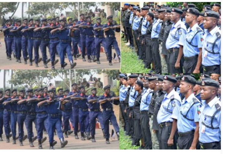 IGP Urges F.G to Merge NSCDC, FRSC With Police, Says Nigeria not Ripe Enough for State Police
