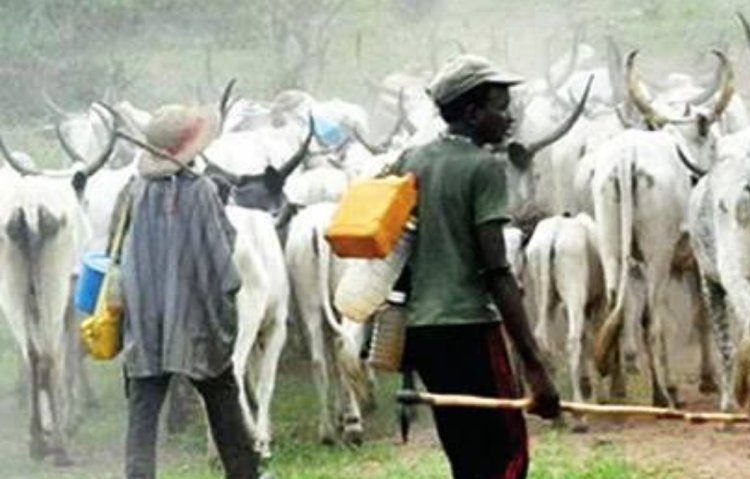 Suspected Herdsmen Machete Ex-PDP Ward Chairman to Death, Abduct 2 Others In Delta 