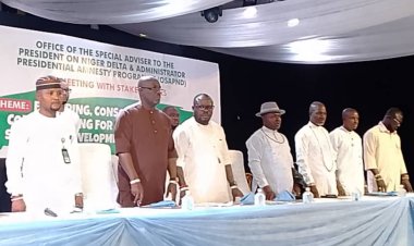 PAP Phase 2 Stakeholders Engagement: Dennis Otuaro Reinvigorates Amnesty Programme, Inject Fresh Ideas 