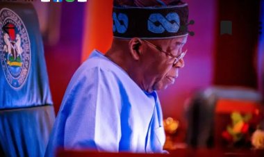 Tinubu appoints governing council for Delta Maritime University, Okerenkoko