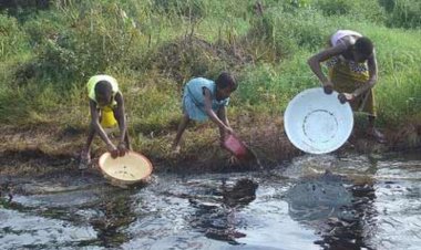 Ijaw Communities Decry Environmental Damage Over Oil Spillage in Delta