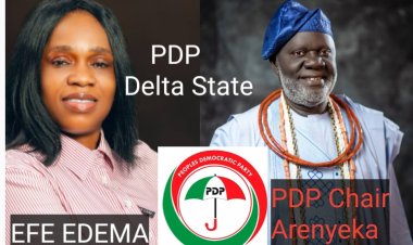 Arenyeka is eminently Qualified to Pilot Delta PDP, says Sapele Party Stalwart, Efe Edema  