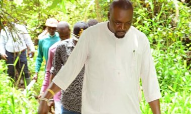 Delta LG Boss, Dagidi Attracts Nigeria's Power Transmission Company to Build Sub-Station in Bomadi 