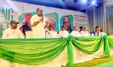 Tinubu Approves More Budgetary Allocation to PAP, Dennis Otuaro Assures Better Deal for N'Delta 