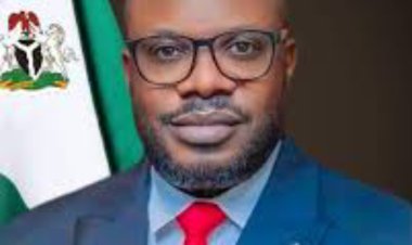 PAP: Stop Falsehoods Against Otuaro, Tompolo -Group Berates Jude Gbaboyor