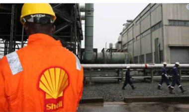 FG Rejects $2.4 Billion Shell Assets Divestment To Renaissance