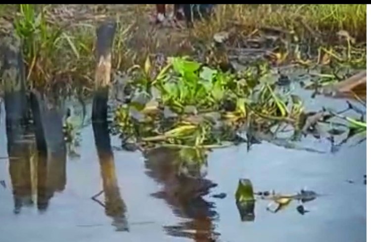 Outrage as Neconde Causes Massive Oil Spill in Delta