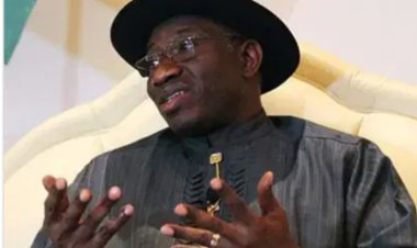 Don’t Japa, countries you’re running to were built by people’ – Jonathan to Nigerians