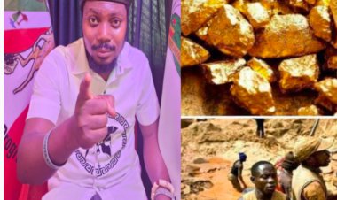 Fresh agitation: N'Delta Youth Council Demands Resource Control Over Zamfara Gold Mining 