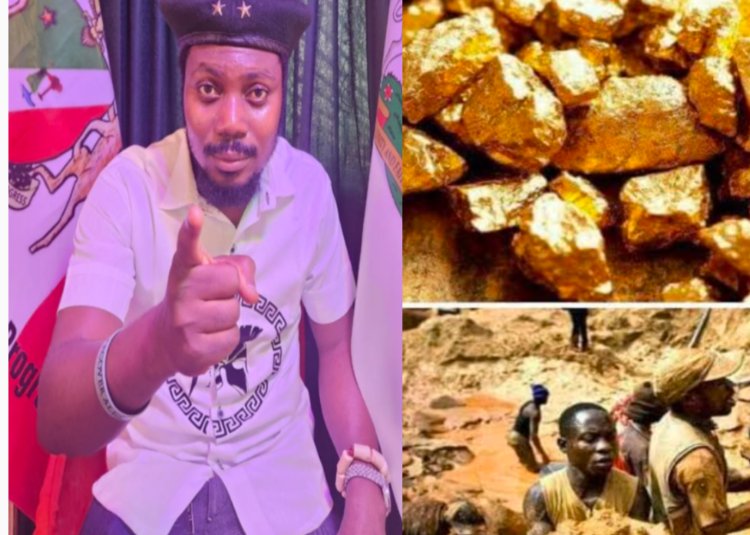 Fresh agitation: N'Delta Youth Council Demands Resource Control Over Zamfara Gold Mining 
