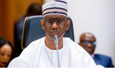 Wake-Up Call for Nigeria: Ribadu Criticizes Canadian Embassy's Visa Denials to CDS and Key Officials
